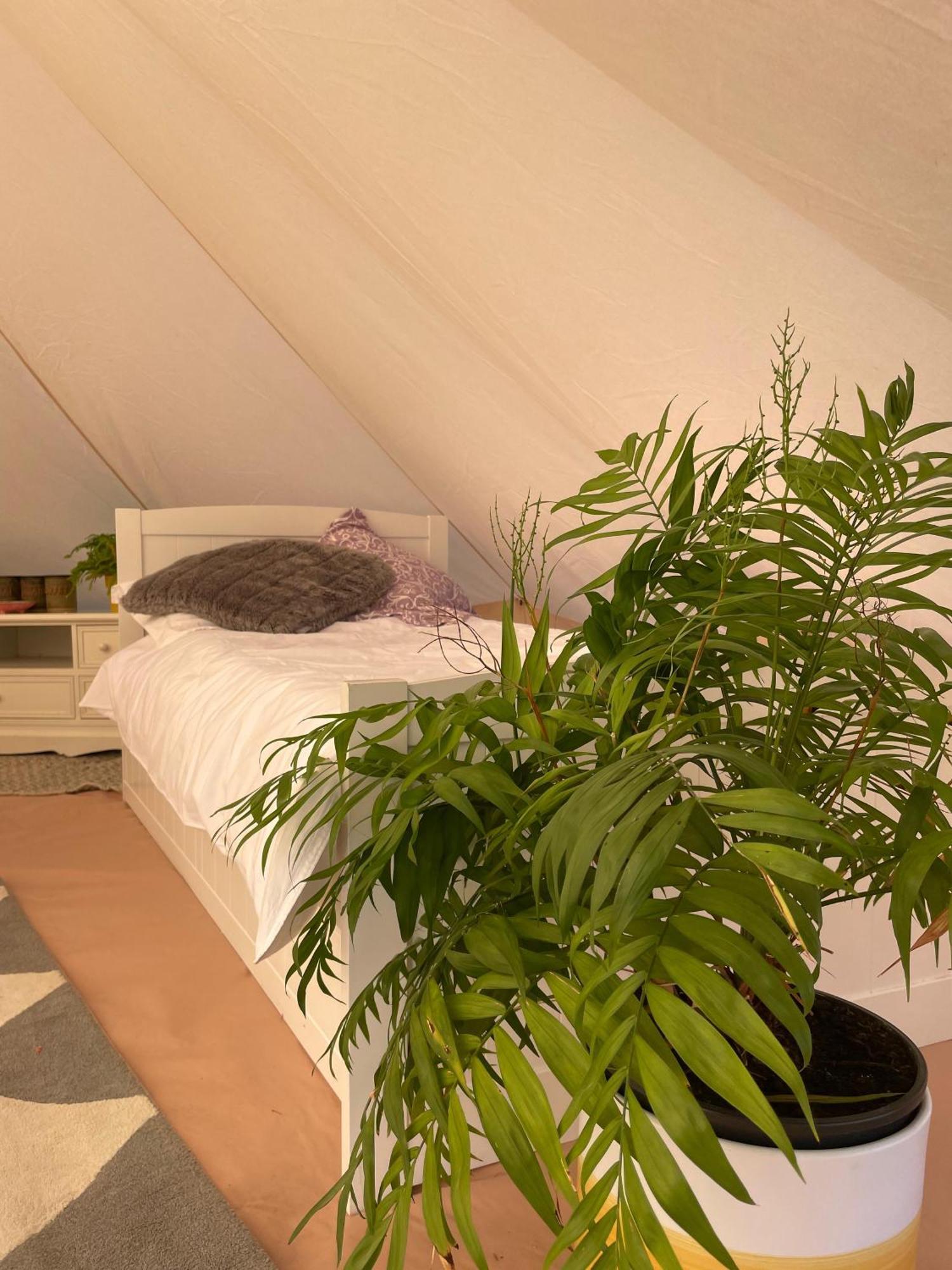 Trevena Cross Glamping & Camping Helston Dış mekan fotoğraf