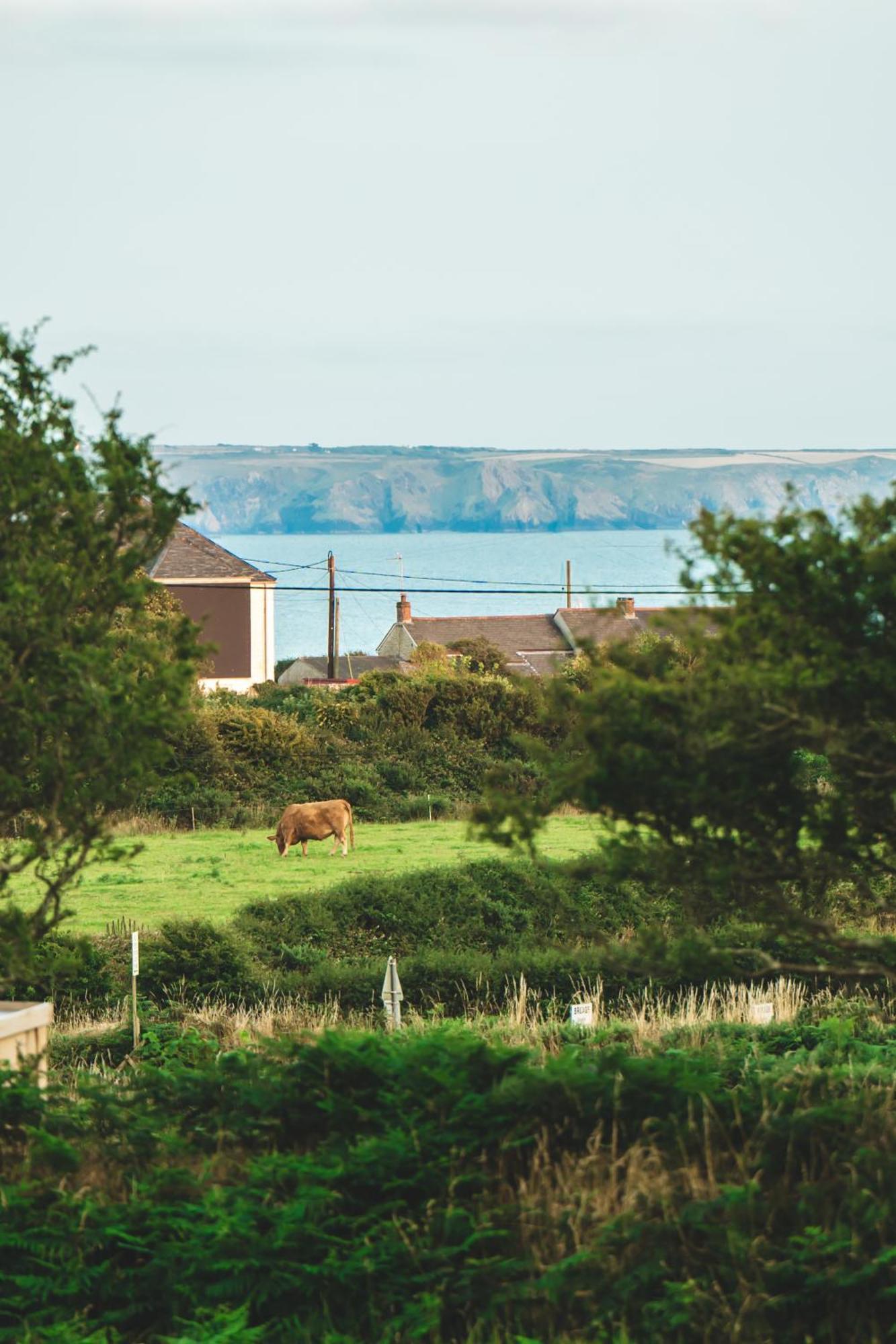 Trevena Cross Glamping & Camping Helston Dış mekan fotoğraf